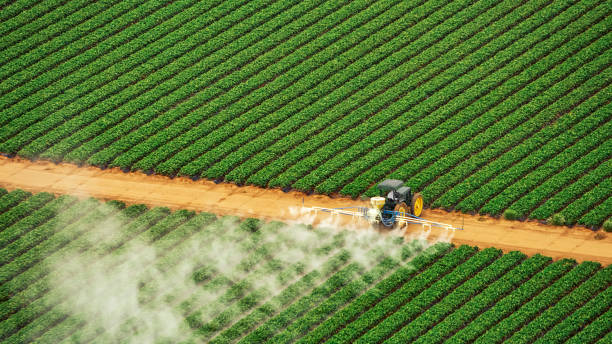 Professional Pest Control in Zillah, WA