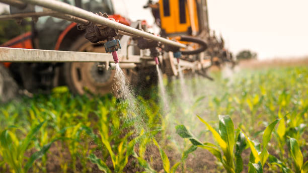 Best Commercial Pest Control Services  in Zillah, WA